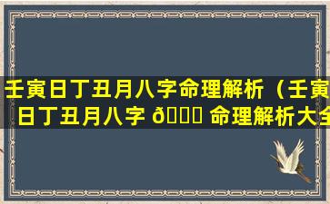 壬寅日丁丑月八字命理解析（壬寅日丁丑月八字 🐎 命理解析大全 🦉 ）